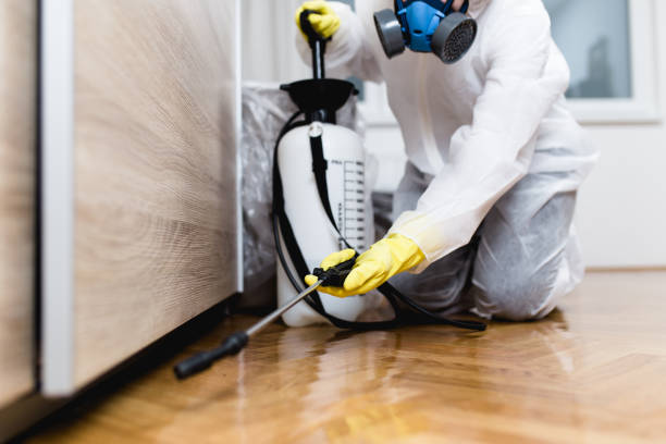 Best Best Pest Control Companies  in Thornton, CO