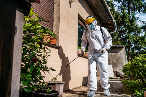 Best Emergency Pest Control  in Thornton, CO