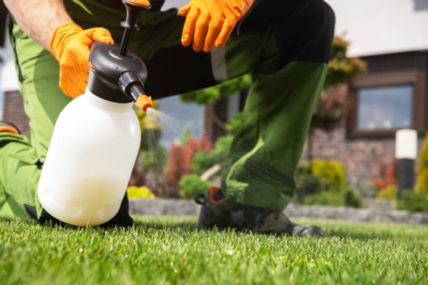 Best Wildlife Control Services  in Thornton, CO
