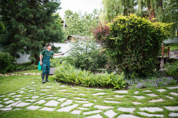 Best Pest Control Near Me  in Thornton, CO