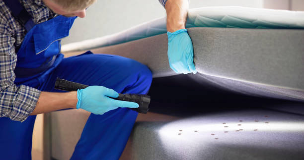 Pest Control for Restaurants in Thornton, CO