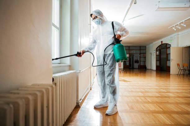 Best Termite Control Services  in Thornton, CO